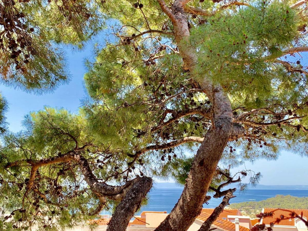 17 Pines Lejlighed Makarska Eksteriør billede
