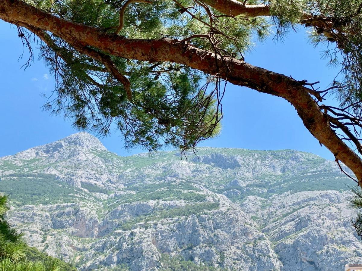 17 Pines Lejlighed Makarska Eksteriør billede